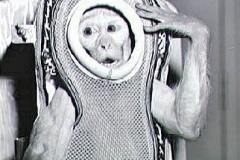 Mercury Little-Joe 2